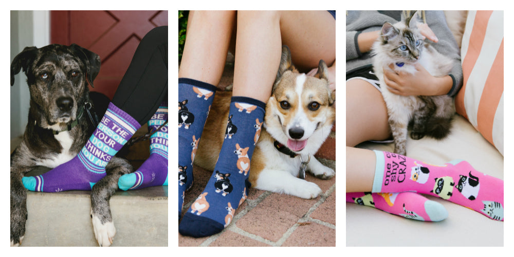 A variety of cute dog and cat socks