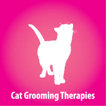Cat Kitten Feline Grooming Therapies