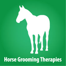 Horse Equine Grooming Therapies