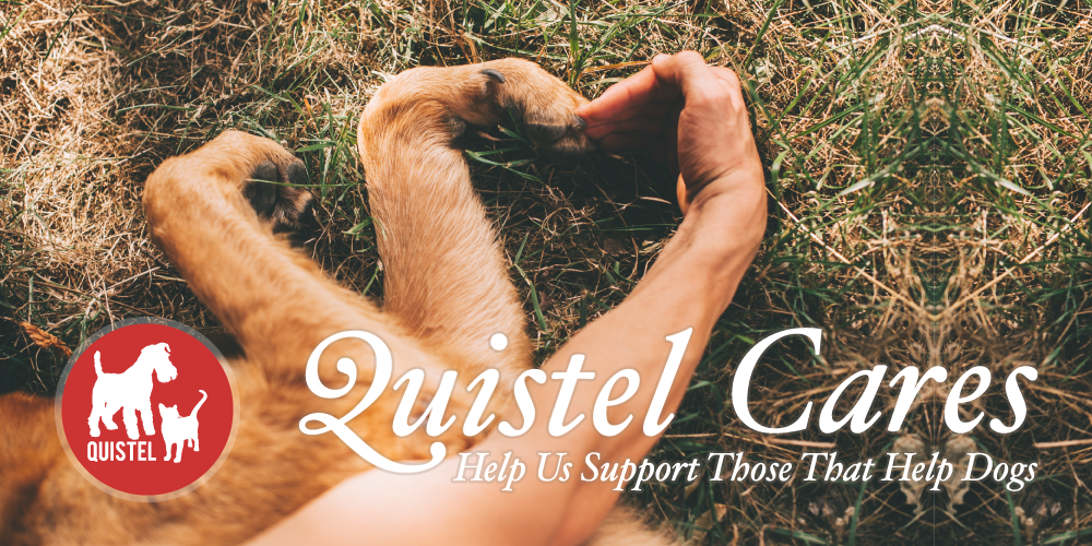 Help Quistel Support Dog Charities & Rescue Centres