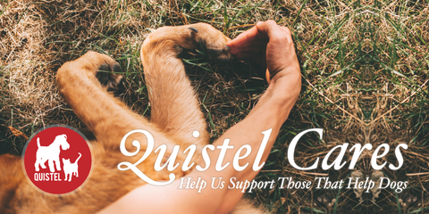 Quistel cares