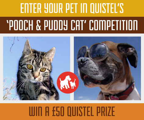Quistel's facebook pet photo competition