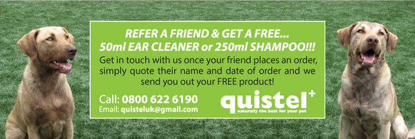 quistel, dog grooming, refer a friend, pets,