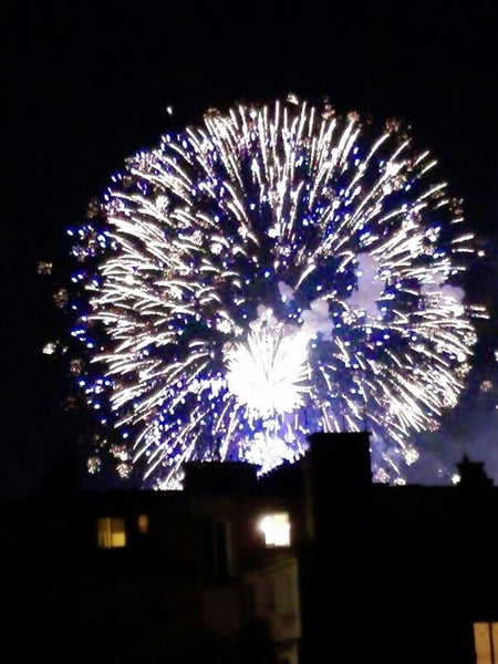 Bastille Day fireworks