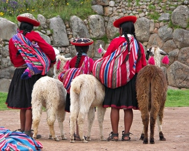 Alpaca Wool in Peru