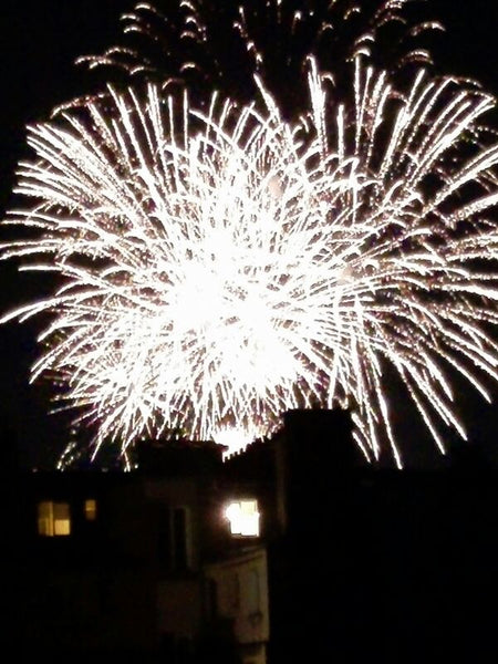 Bastille Day fireworks