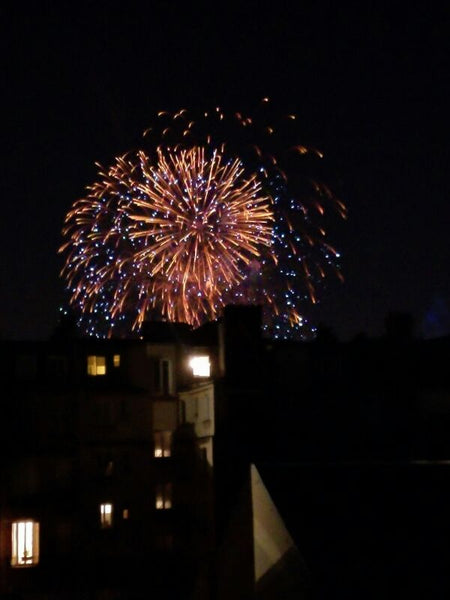 Bastille Day fireworks