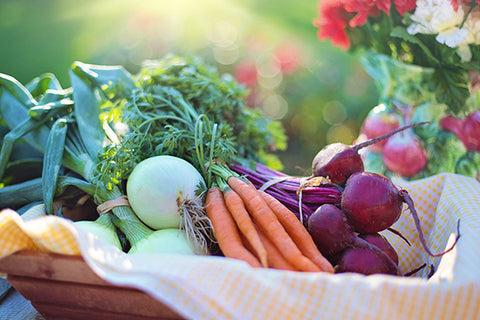 Grow your own fruit and vegetables in the smallest of gardens