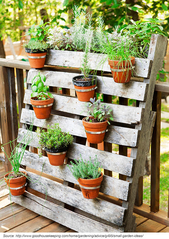 vertical garden made with an old wooden pallet
