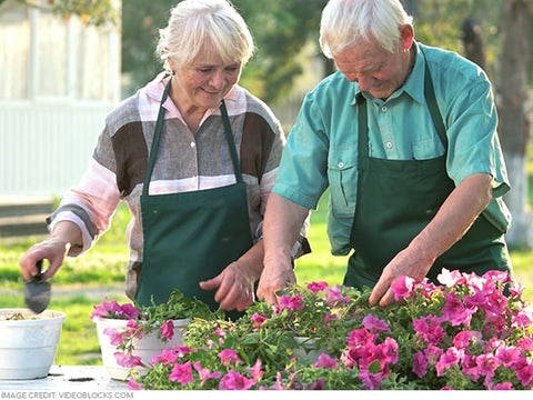 elderly couple gardening together