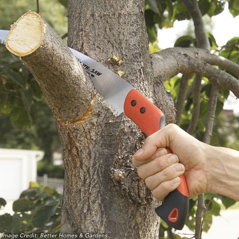 man cutting down tree branch