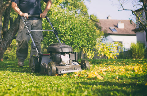 man moving lawn in autumn