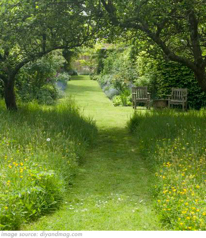 grass garden with freshly mowed pathway