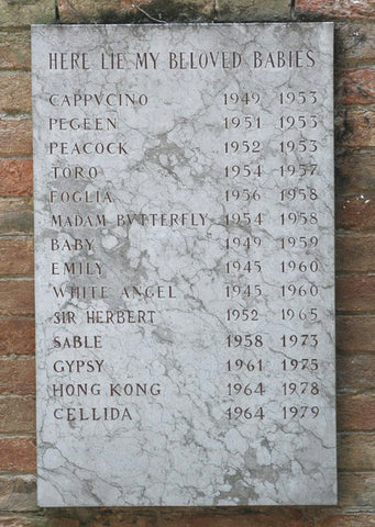 Gravestone for Peggy Guggenheim's Dogs in Venice, Italy