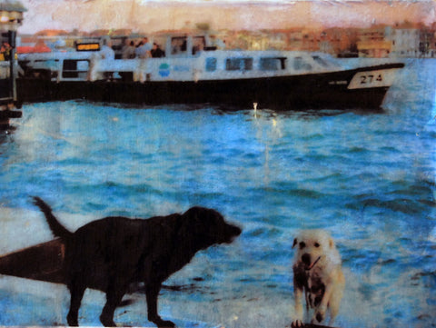 Swimming Dogs #2 in Giudecca Canal, Venice, Italy, Mixed Media on Panel, 2010 Rachael Grad Fine Art