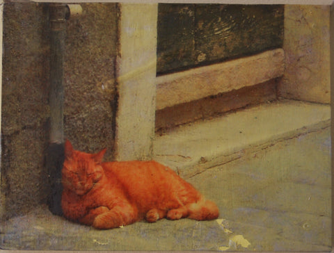  Sleeping Calle Cat #1, Dorsoduro, Venice, Italy, Mixed Media on Panel, 2010