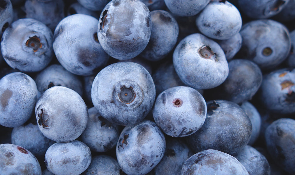 a pile of blueberries by jeremy ricketts