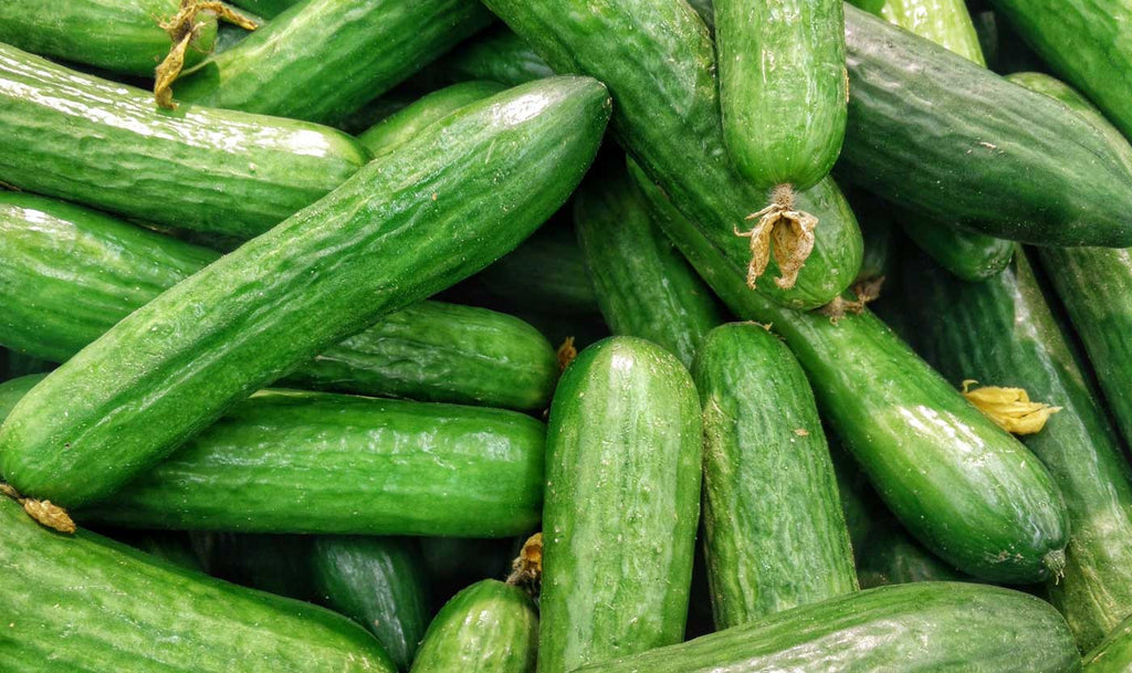bare-biology-health-beauty-frances-phillips-love-your-skin-from-within-cucumbers