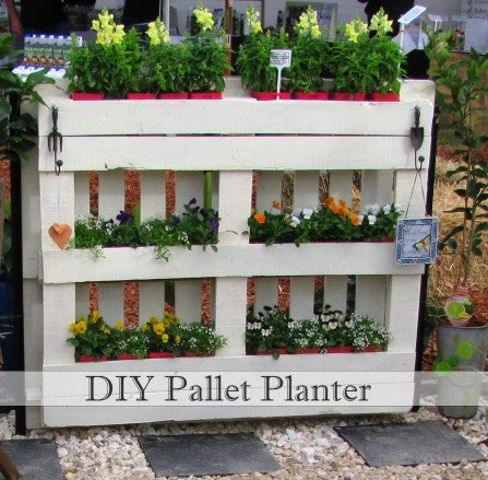 Pallet Planter