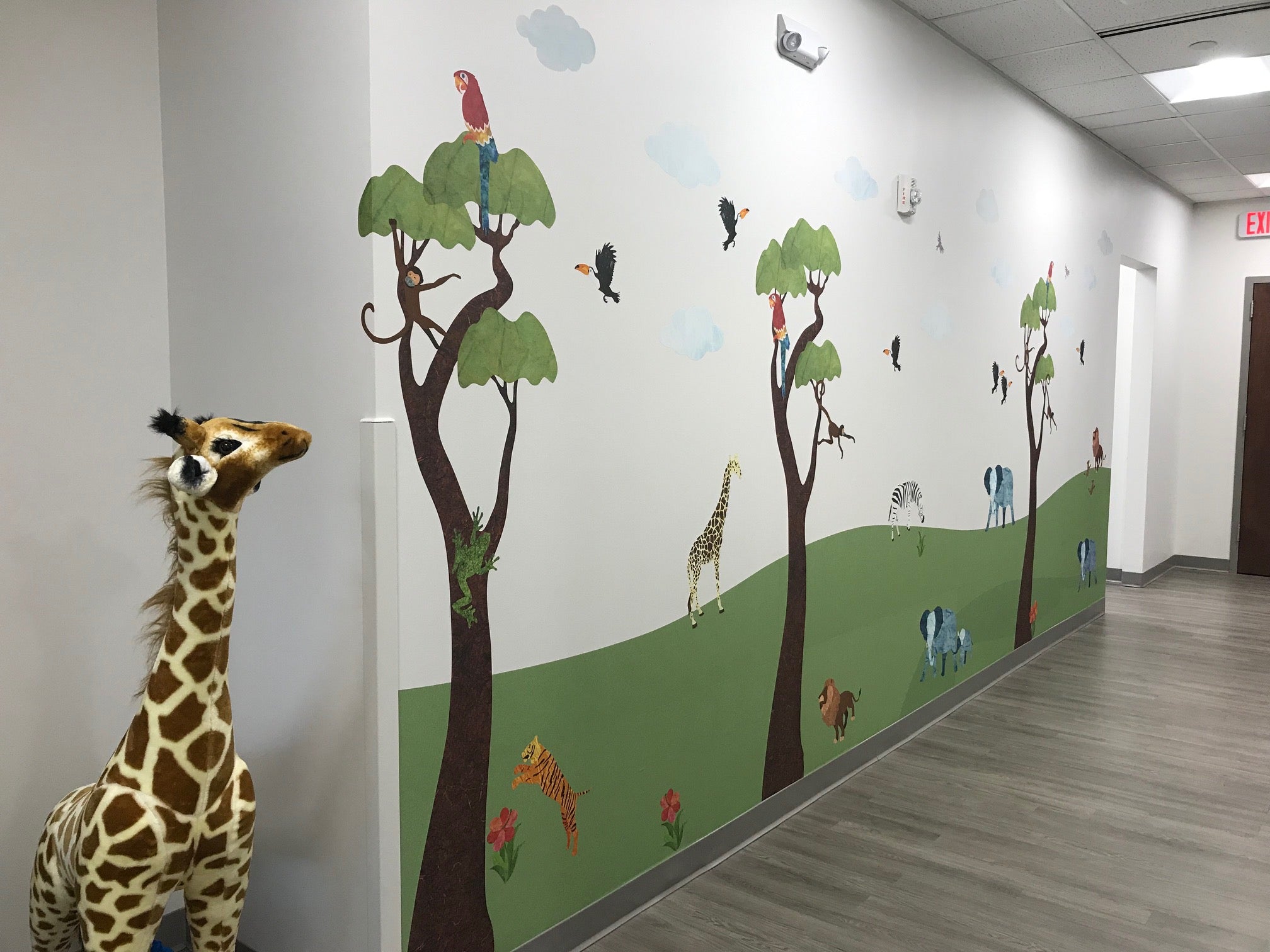 Pediatric Office Makeover - Jungle Safari Theme