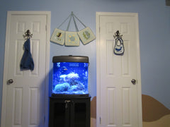 Under the Sea Kids Room