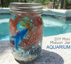 DIY Mini Mason Jar Aquarium