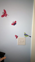 Bird and Butterfly Wall Decals