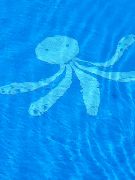 Octopus Stencil on Pool Floor