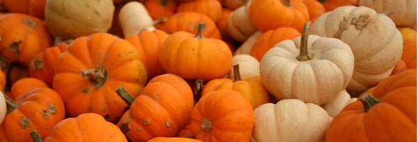 Pumpkins as Fall Home Decor