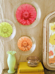 Zinnia Plates DIY