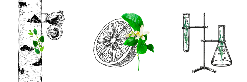 3 ingredients Anti-Blemish Purifying Botanical Serum