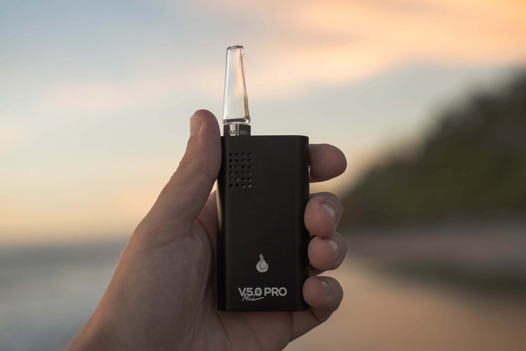 Flowermate Mini Pro Vaporizer In Hand - Planet of the Vapes
