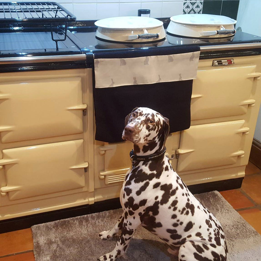 Dog Aga range cooker