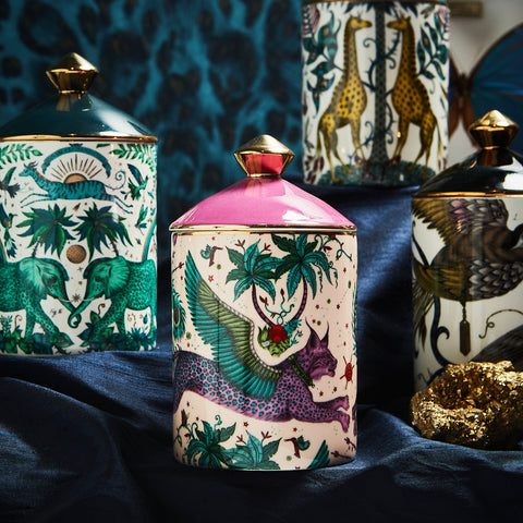 A selection of the final Home Fragrance designs including Lynx, Zambezi, Audubon and Kruger in the background