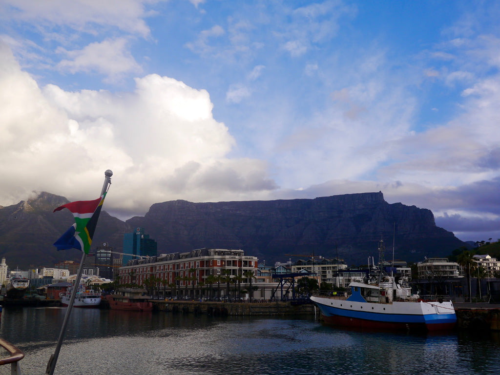 The view from the Waterfront in Cape Town, facing Table Mountain