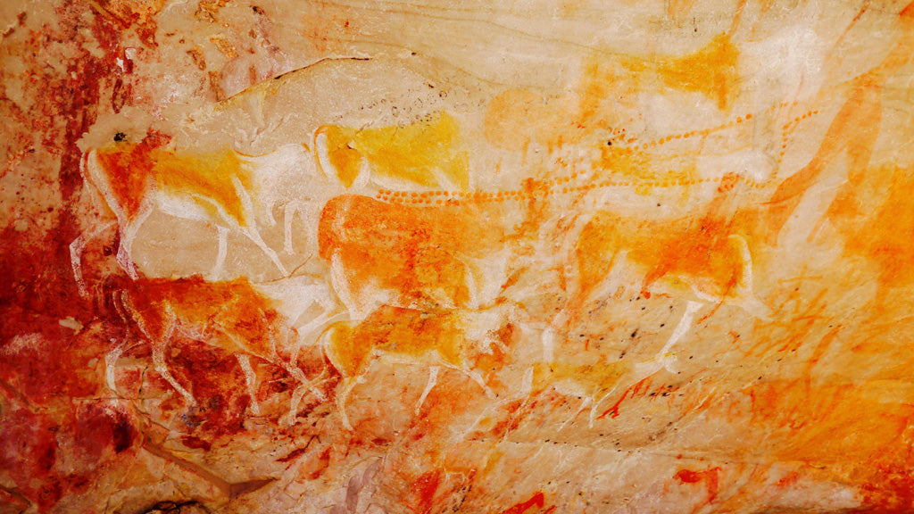 A close up of beautiful, large painted eland. The paints have faded over thousands of years, so often only parts of the animal remain, in the most hardwearing colours