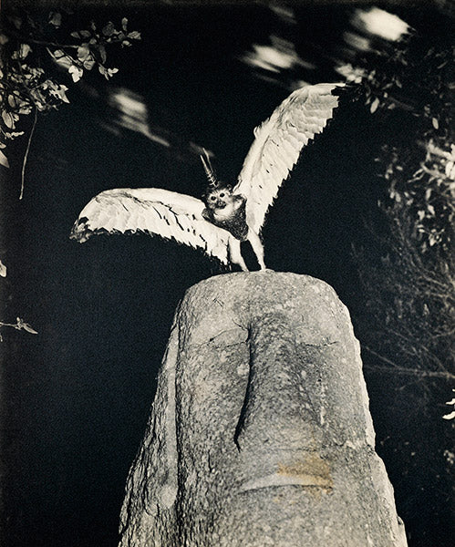 Photo credit left: Cercophitecus Icarocornu from the Fauna series by Joan Fontcuberta and Pere Formiguera 1985.