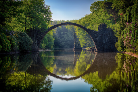 green forest with lake