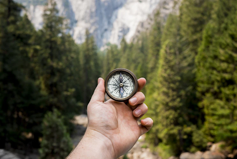 A hand holding a compass in the wilderness