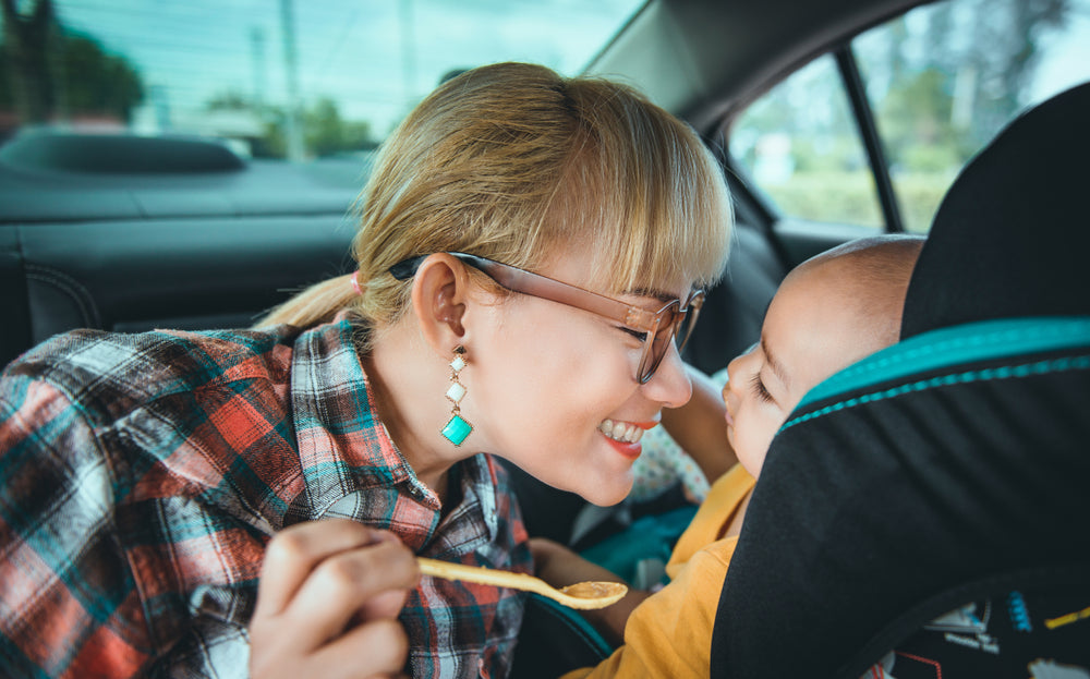 road trip with newborn 