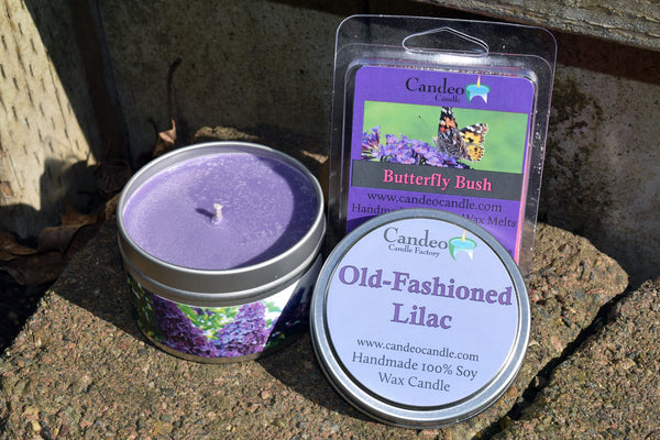 Old-Fashioned Lilac Soy Candle and Butterfly Bush Soy Melt Cubes