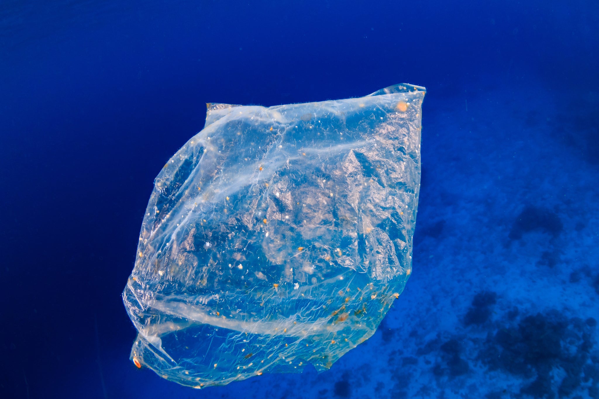 plastic bag pollution floating in the ocean