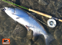 Hoh River Chinook Surprise