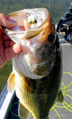 Banks Lake Largemouth Bass Fly Fishing