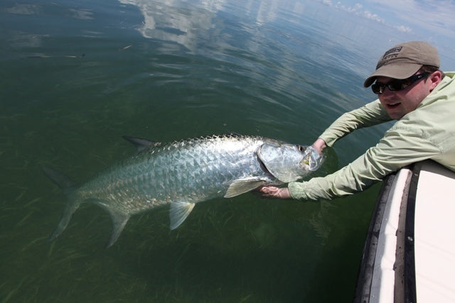 Tarpon!  Pacific Fly Fishers