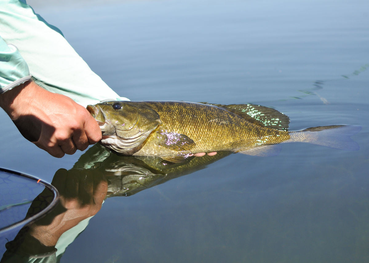 Banks Lake, Washington Smallmouth Bass Fly Fishing