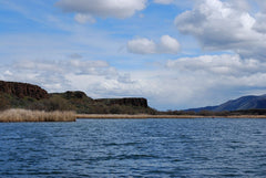 I love the look of Lenice and all the ledges and drop-offs in this lake. The various ledges and depressions in this lake offer the fish good travelling lanes to find their food and are key areas to look for them.