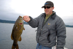 Another Sammamish Toad for Steve