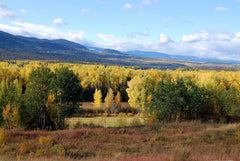 The beautiful Bulkley River valley between Telkwa and Houston. This shot was taken on our way out of town.