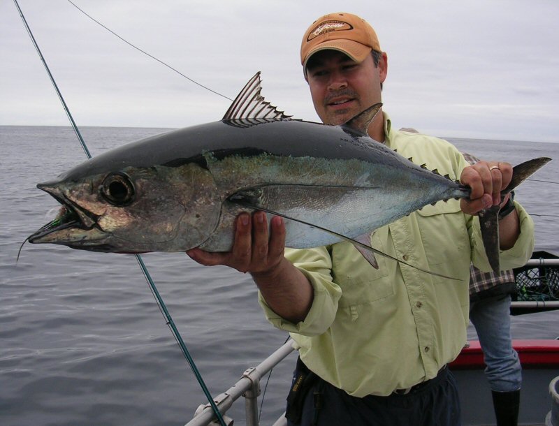 Michael's Albacore Tuna